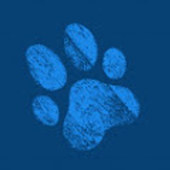 Socalanimalhospital