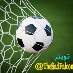 TheSadFalcon