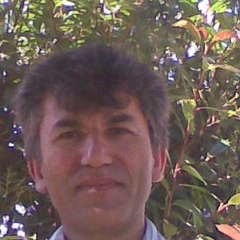 Ali Tosmer