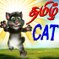 Tamil Cat Videos