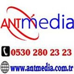 Ant Menajerlik