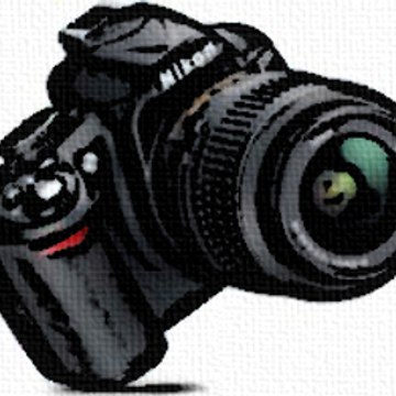 Latest Viral Videos