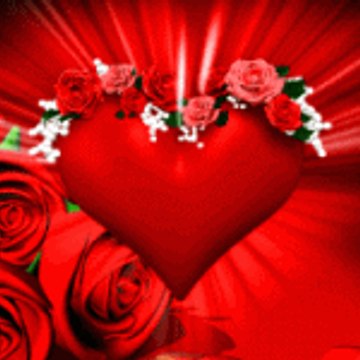 Saleem8938