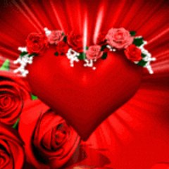 Saleem8938
