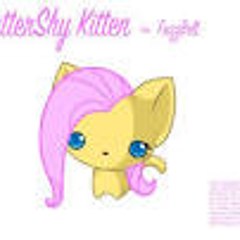 kittenfluttershy