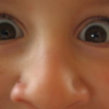 letouq raynald