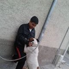 Furkan Büyükçekiç