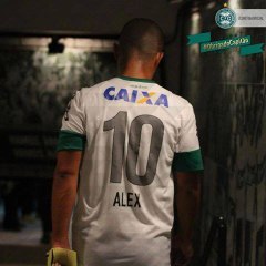 Sarı Lacivert Balkan