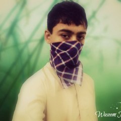 Gulwaseem35