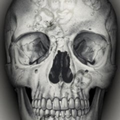 wuscor