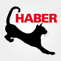 Haberkedisi