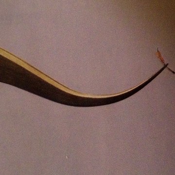 Centro Capilar  Madrid