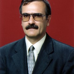 fedayideliormanli