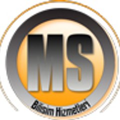 MS Bilişim Hizmetleri