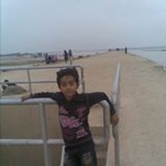 Amir Shahzad