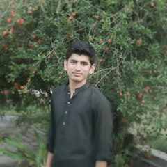 Suleman Hassan