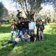 minibouis