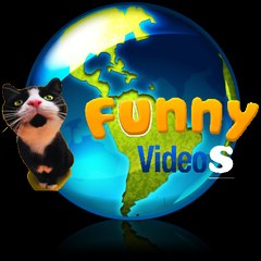 FUNNY VideoS