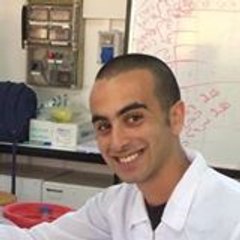 Ibrahem Ibrahem
