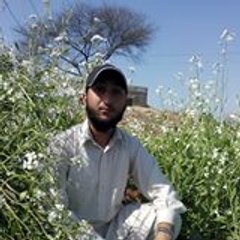 Abdul Aleem