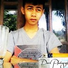 Davit Probosari