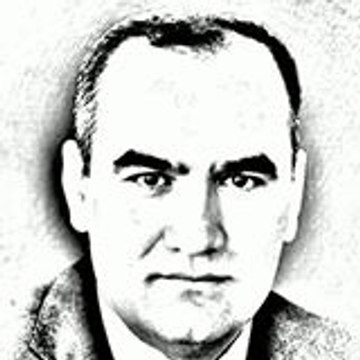 Ali Erol