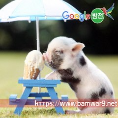 밤*의*전*쟁 포항립카페 강남오피방 천안 휴게텔