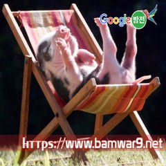밤*의*전*쟁 역삼립카페 인천오피걸 대구 침산 휴게텔