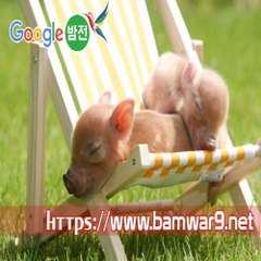 밤*의*전*쟁 신촌오피방 전주안마시술소 부산 초량 립카페