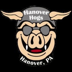 Hanover_Hogs