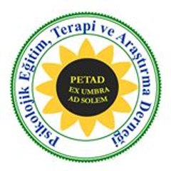 Psikolojik Eğitim Terapi Araştırma