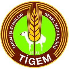 Egitimtarimsal