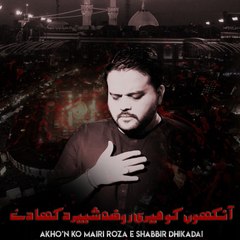 Wajhi Hassan Zaidi Official