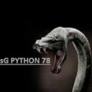 sG PYTHON 78
