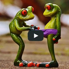 Videos Engraçados