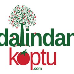 Dalindankoptucom