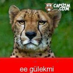 Polat Serce