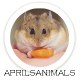 AprilsAnimals